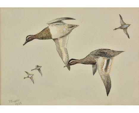 *Scott (Peter Markham, 1909-1989). Grey Ducks in Flight, 1928,  watercolour, heightened with white bodycolour on thick wove p