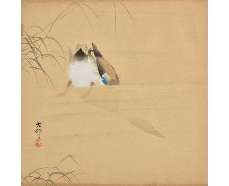 *Koson (Ohara, 1877-1945). Duck Diving, circa 1909,  pen, ink, watercolour and gouache on laid paper, signed and with artist'