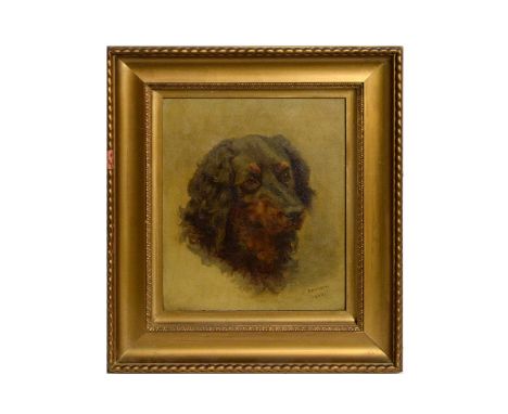 C* Davidson(19th Century)Portrait of a Dog,signed and dated 1920,oil on canvas,29 x 24.5cms, in frame.