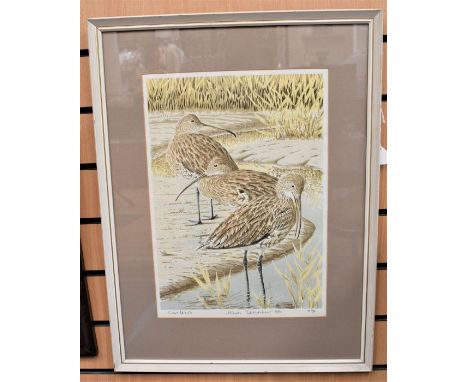 A silk-screen print of 'Curlews' by John Tennent, numbered 15/90, signed 'John Tennent 1980' in pencil, 44 x 31cm, framed and