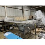 Mesh Accumulating Conveyor, Rigging/Loading Fee: $150