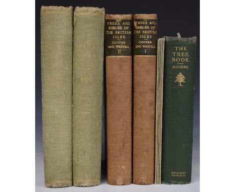 British Trees Drawn &amp; Described by Rex Vicat Cole with text revised by Dorothy Kempe containing 430 reproductions, publis