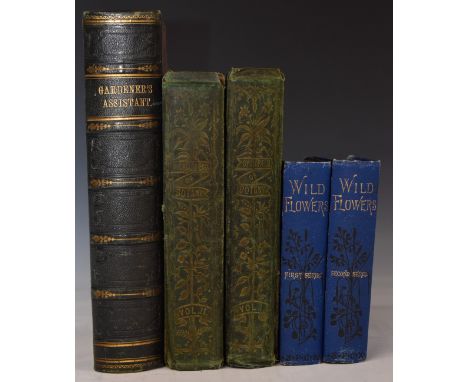 New Cyclopaedia of Botany and Complete Book of Herbs: forming a History &amp; Description of all Plants British or Foreign wh