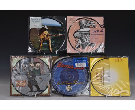 Picture discs - 22 seven inch picture discs including Queen, The Thrills, The Magic Numbers, The Darkness, Athlete, Gold Frap