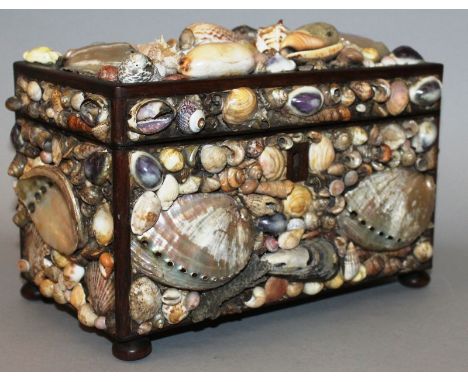 A 19TH CENTURY SHELL MOUNTED TWO DIVISION TEA CADDY, 8.5ins wide, smothered in shells. 