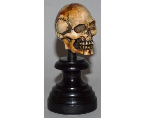 A SMALL BONE SKULL 1.5ins. 