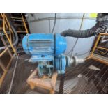 Stainless steel vane pump, equipped with 30 hp Weg motor. / Bomba de acero inoxidable de paletas, M