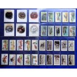 Cigarette cards, 4 sets & 1 part set, Player's Cats, Gallaher The Zoo Aquarium, Gallaher Fables &