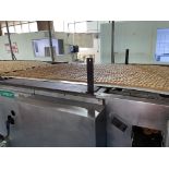 Stacking Conveyor System including overhead to Spreader Conveyor, Loading Fee: $7000 - Late Delivery
