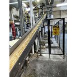 Scrap Return Conveyor, Loading Fee: $1600 - Late Delivery April 2022