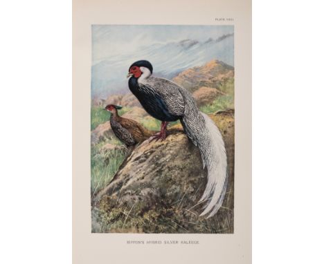 Beebe (William) A Monograph of the Pheasants, 4 vol., first edition, number 39 of 600 copies, 90 colour plates by Thorburn, G