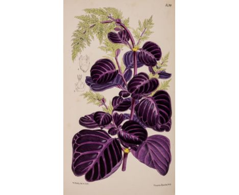 Botany.- Curtis (William) The Botanical Magazine; or, Flower-Garden Displayed, 83 vol. in 62, comprising vol. 3-40; 62; 91-10