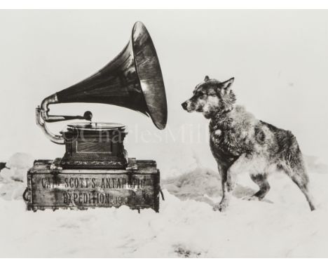 HERBERT PONTING (1870-1935)A sledge dog listening to the gramophoneblack and white print blind-stamped 'The Ponting Collectio