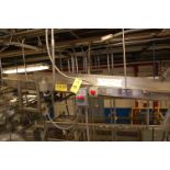 Conveyor - Motorized Belt Conveyor, Approx. 8 ft. Length x 20 in. Wide, 208-230/460 Volt Motor