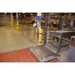 Mettler Toledo IND560 Platform Scale, SN 3376GM. Rigging Fee for this lot Not to Exceed $25