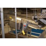 Conveyor - Motorized Belt Conveyor, 8 ft. Length x 20 in. Wide, 208-230/460 Volt Motor