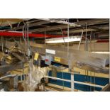 Conveyor - Motorized Belt Conveyor, 8 ft. Length x 20 in. Wide, 208-230/460 Volt Motor