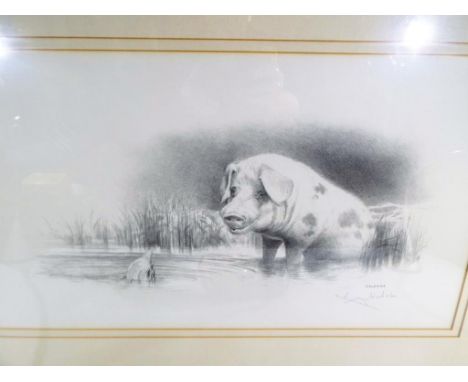 Geldart - a limited edition print by Geldart issue No. 51 of 600 depicting a pig paddling, signed by the artist lower right, 