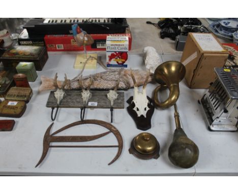 A brass car horn; a brass reception bell; hunting trophy; coat hooks; a medical model of heart 