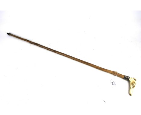 A Victorian walking stick. The handle carved in the form of a greyhound's head, with silver collar, L90cm