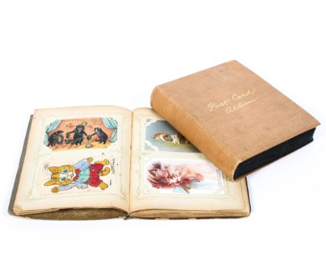 Two Victorian/Edwardian postcard albums containing a large collection of postcards, photographs and birthday cards with image