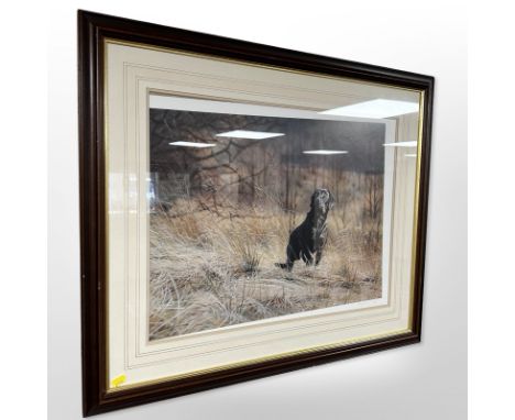 After Steven Townsend : Labrador, limited edition colour print, signed in pencil, 42 cm x 56 cm 
