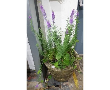 A large stoneware garden planter with flowers