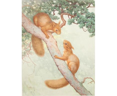 Noel Hubert Hopking (British, 1883-1964) - a vintage watercolour depicting two red squirrels on a branch, signed lower left, 