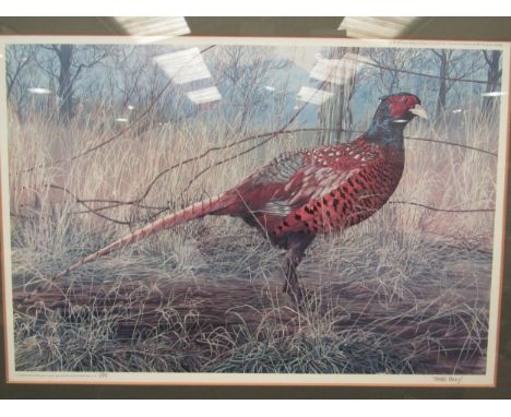 James Renny a limited edition signed print of a pheasant 298/500, framed and glazed, 42cm x 62cm 