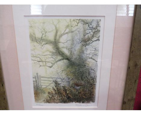 A Steve Cole limited edition print of bird by gate, number 26/100 and a J. HOUCHEN: Pencil sketch entitled "Baby Robin", both