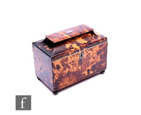A 19th Century tortoiseshell tea caddy, the caddy shaped top over a two divisioned interior, on brass ball feet, width 18cm. 