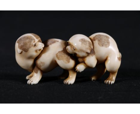 An ivory Okimono of two puppies playing, one biting the others hind quarters, unsigned, Meiji Age cracks on top surface.