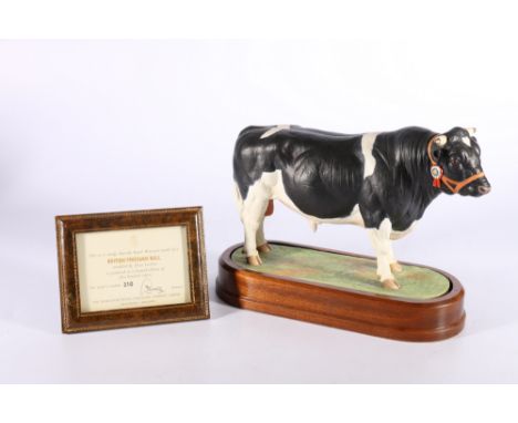 Royal Worcester porcelain model of a British Friesian Bull modelled by Doris Lindner on wooden plinth base with certificate o