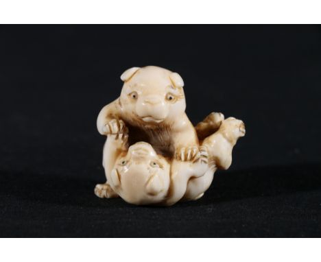 An Ivory netsuke of two puppies playing, 4cm, 26g, unsigned Meiji/Taisho 