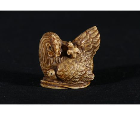 Stained ivory netsuke of a mother hen observing her two chicks, 4cm, signed, 35g, Meiji 