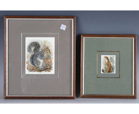 Rita Whitaker - an enamelled copper panel depicting a grey squirrel, signed with initials, 12.5cm x 10cm, framed, together wi