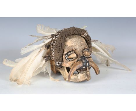 An Asmat skull, Papua New Guinea, with applied woven string and feather headdress, the nose with boar's tusk mount, height 17