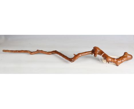 A contorted hazelnut walking stick, apparently previously owned by the Scottish entertainer Harry Lauder, inset with a metal 