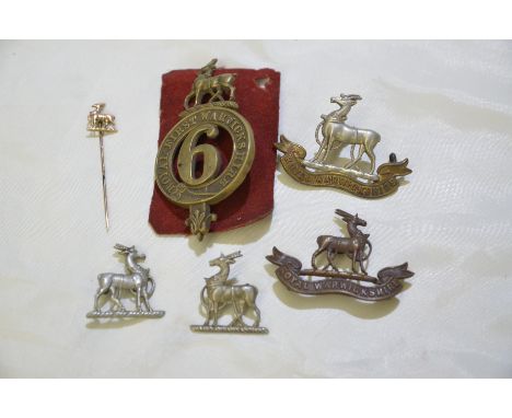 3 Royal Warwickshire cap badges, 2 associated collar dogs and a 9ct gold stick pin