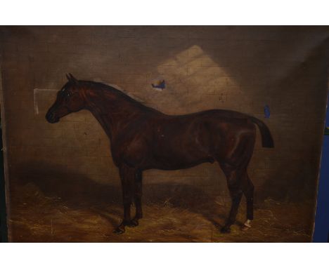 19thC oil on canvas of interior stable scene and portrait of a chestnut stallion signed B.Ram? Norton 1888 (a/f)