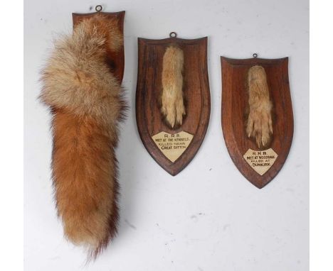 * An mid-20th century taxidermy Fox (Vulpes vulpes) brush, mounted on an oak shield, bearing a label verso for Dr Bill Cox, 3