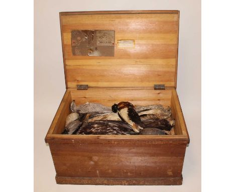 * A taxidermy collection of birds of prey and others, reputedly used as models by the artist John Cyril Harrison (1898-1985) 