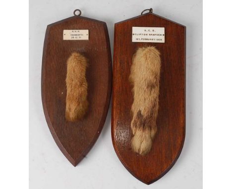 * A mid-20th century taxidermy Fox (Vulpes vulpes) pad, mounted on an oak shield and bearing a plaque "N.N.H. Hanworth 28.12.