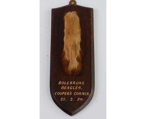 * A taxidermy Fox (Vulpes vulpes) pad, mounted on an oak shield annotated "Bolebroke Beagles. Cooper's Corner, 25.2.59", with