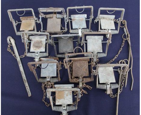 * A collection of eleven Mk IV Fenn traps, four with stainless steel tongue/till (11)Condition report: From ‘A Broad Collecti
