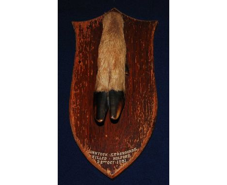 * An early 20th century taxidermy Deer slot, mounted on an oak shield annotated Quantock Staghounds, Killed. Holford, 22nd Oc