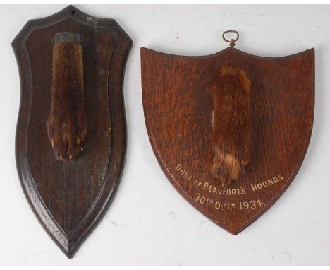 * An early 20th century taxidermy Fox (Vulpes vulpes) pad, mounted on an oak shield, bearing a label verso Rowland Ward, Ltd.