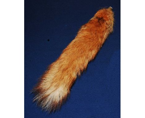 * A taxidermy Fox (Vulpes vulpes) brush on hook, L.44cm.Condition report: From ‘A Broad Collection from a lifetime by The Bro