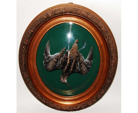 * A taxidermy hanging Snipe (Gallinago gallinago), mounted in a Ledot style glass bubble case within a gilt oval surround, be