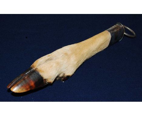 * An early 20th century taxidermy Deer slot, having a silver plated mount with suspension ring inscribed Holmsley, New Forest